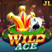 Wild Ace - PH Bingo App Download Apk